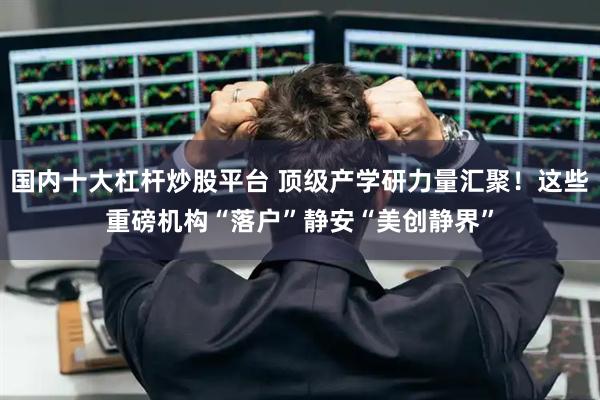 国内十大杠杆炒股平台 顶级产学研力量汇聚！这些重磅机构“落户”静安“美创静界”